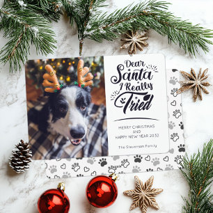 Cartes Pour Fêtes Annuelles Cher Père Noël j'ai essayé chien photo fun Noël