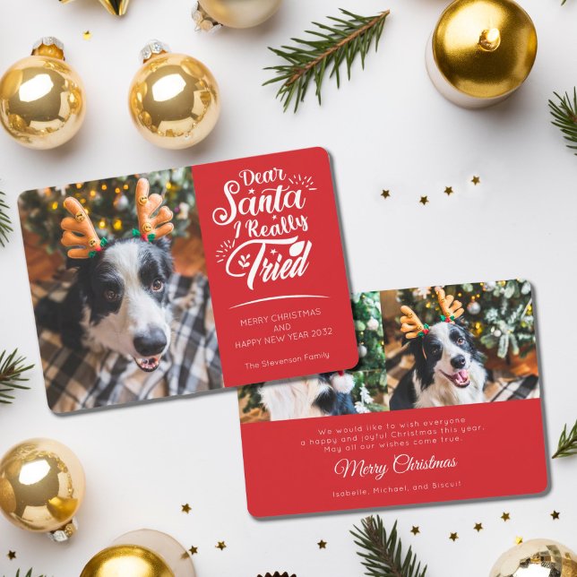 Cartes Pour Fêtes Annuelles Cher Père Noël J'ai essayé chien photo fun Noël (Créateur téléchargé)