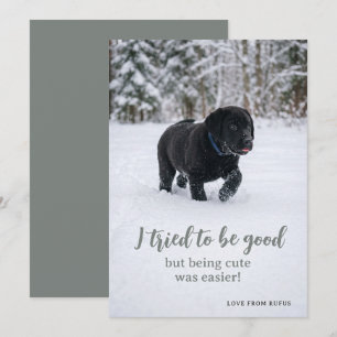 Cartes Pour Fêtes Annuelles Cher Père Noël, j'ai essayé d'être sage Photo
