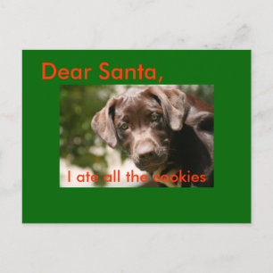 Cartes Pour Fêtes Annuelles Cher Père Noël, j'ai mangé tous les cookies