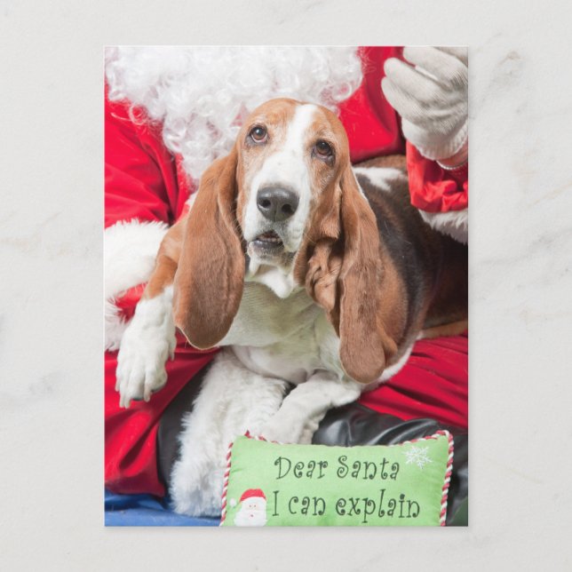 Cartes Pour Fêtes Annuelles Cher Père Noël je peux expliquer Basset Hound (Devant)