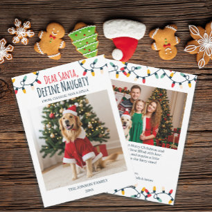 Cartes Pour Fêtes Annuelles Cher Père Noël Naughty Funny Chien Noël 2 Photos