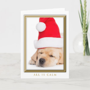Cartes Pour Fêtes Annuelles Cher Père Noël Tout est calme Chiot