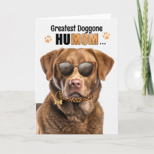 Cartes Pour Fêtes Annuelles Chesapeake Bay Dog Best HuMOM Jour des Mères