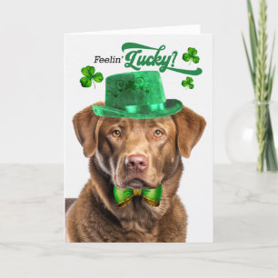 Cartes Pour Fêtes Annuelles Chesapeake Bay Retriever Lucky St Patrick