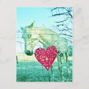 Cartes Pour Fêtes Annuelles Cheval Blanc Coeur Rouge Saint Valentin