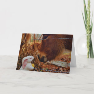 Cartes Pour Fêtes Annuelles Cheval Brown de miniature et lapin de Pâques