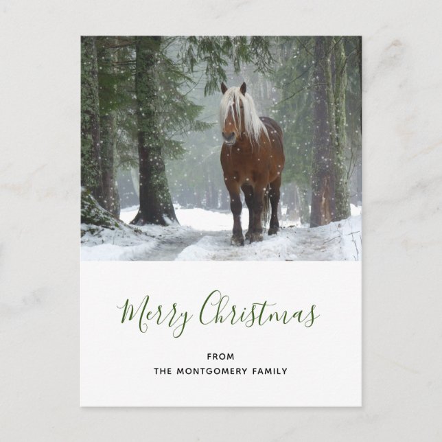 Cartes Pour Fêtes Annuelles Cheval Brown pittoresque dans une forêt d'hiver No (Devant)