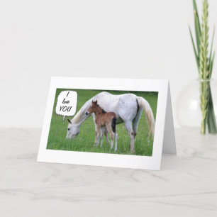 CARTES POUR FÊTES ANNUELLES CHEVAL/COLT AIDE DÉCLARE L'AMOUR À NOËL