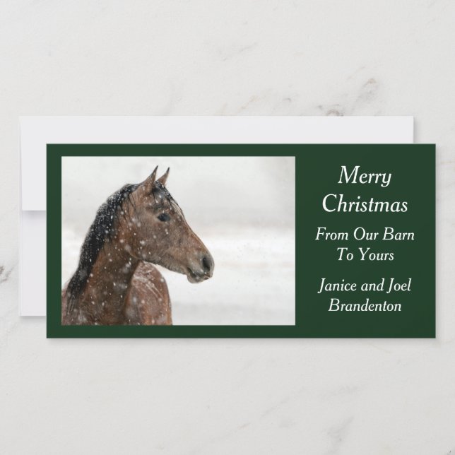 Cartes Pour Fêtes Annuelles Cheval de baie en neige douce (Devant)