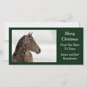 Cartes Pour Fêtes Annuelles Cheval de baie en neige douce