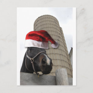 Cartes Pour Fêtes Annuelles Cheval de la ferme de Noël
