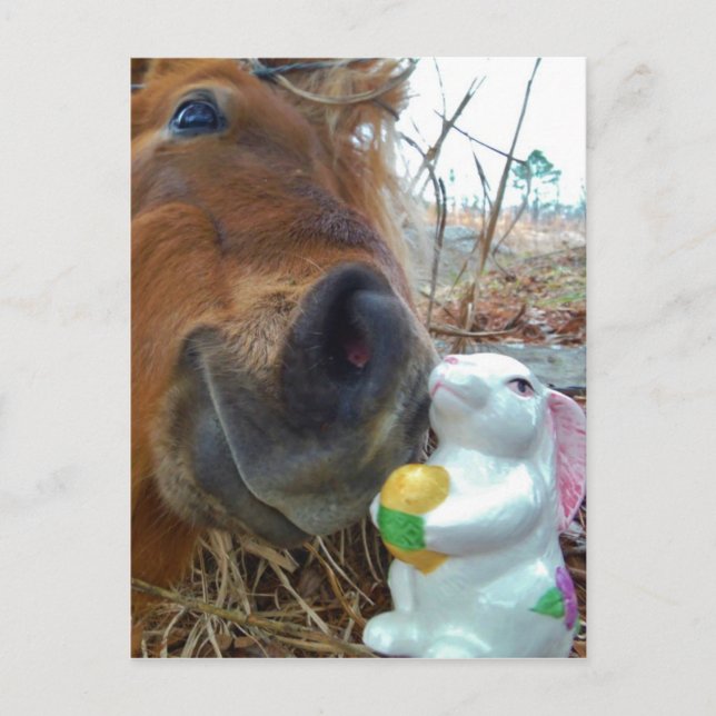 Cartes Pour Fêtes Annuelles Cheval de lapin et de brun de Pâques (Devant)