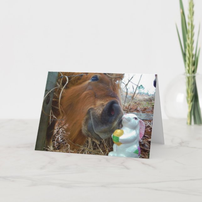 Cartes Pour Fêtes Annuelles Cheval de lapin et de brun de Pâques (Devant)