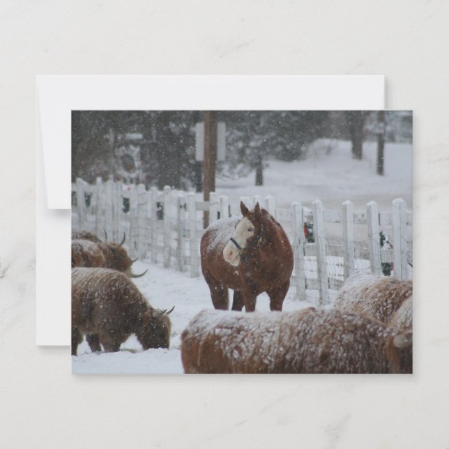 Cartes Pour Fêtes Annuelles Cheval de Neige, Joyeux Noël ! (Devant)
