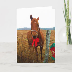Cartes Pour Fêtes Annuelles Cheval de Noël