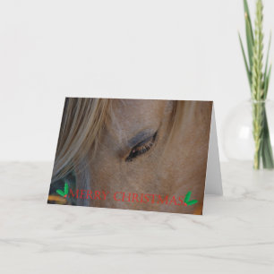 Cartes Pour Fêtes Annuelles Cheval de Noël de Joyeux Noël bonnes fêtes