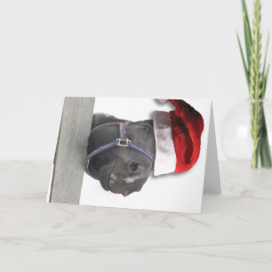 Cartes Pour Fêtes Annuelles Cheval de Noël Père Noël