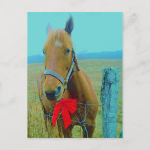 Cartes Pour Fêtes Annuelles Cheval de Noël rétro