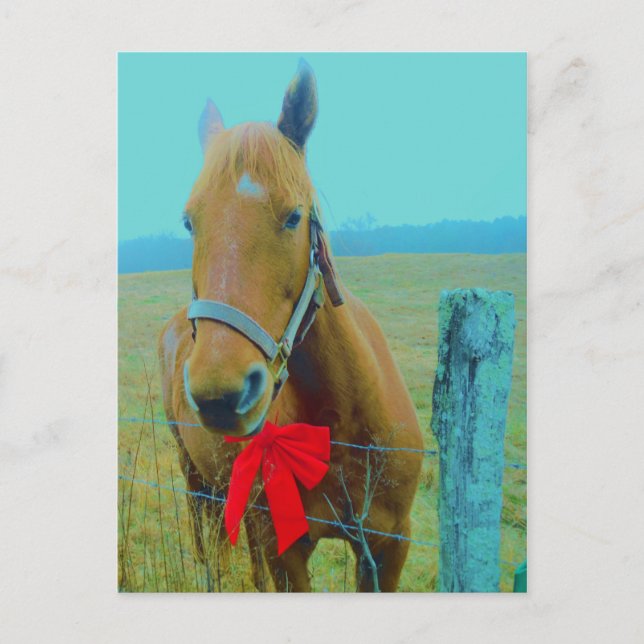 Cartes Pour Fêtes Annuelles Cheval de Noël rétro (Devant)