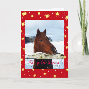 Cartes Pour Fêtes Annuelles Cheval de Noël sous la neige