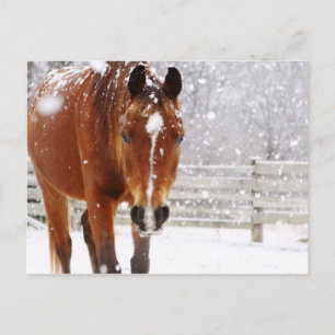 Cartes Pour Fêtes Annuelles Cheval d'hiver Noël
