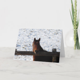 Cartes Pour Fêtes Annuelles Cheval d'hiver, Noël
