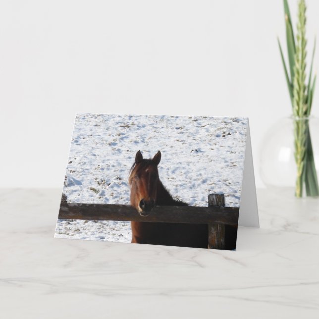 Cartes Pour Fêtes Annuelles Cheval d'hiver, Noël (Devant)