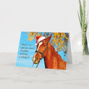 Cartes Pour Fêtes Annuelles Cheval Equine Santa Chapeau Funny Christmas Card