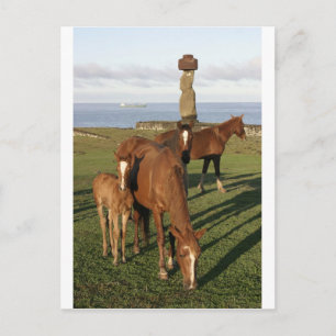 Cartes Pour Fêtes Annuelles Cheval frôlant en île de Pâques (Rapa Nui).
