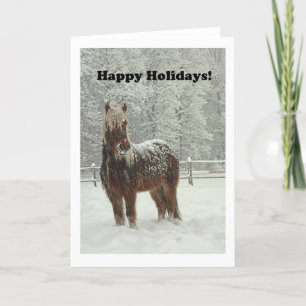 Cartes Pour Fêtes Annuelles Cheval islandais en hiver, Happy Holidays Photo