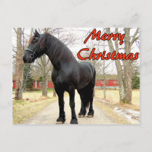 Cartes Pour Fêtes Annuelles Cheval joyeux Christmas.jpg
