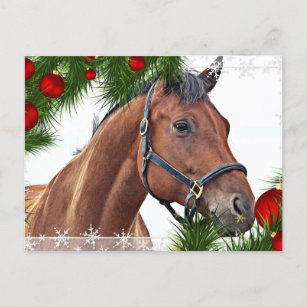 Cartes Poney Pour Noel Zazzle Fr Cartes Poney Pour Noel Zazzle Fr