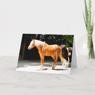 Cartes Pour Fêtes Annuelles cheval Palomino