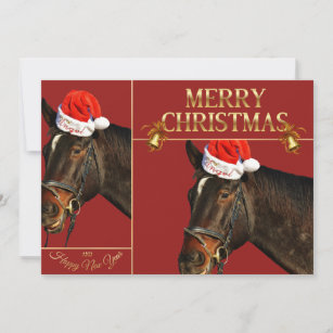 Cartes Joyeux Chevaux Pour Noel Zazzle Fr Cartes Joyeux Chevaux Pour Noel Zazzle Fr