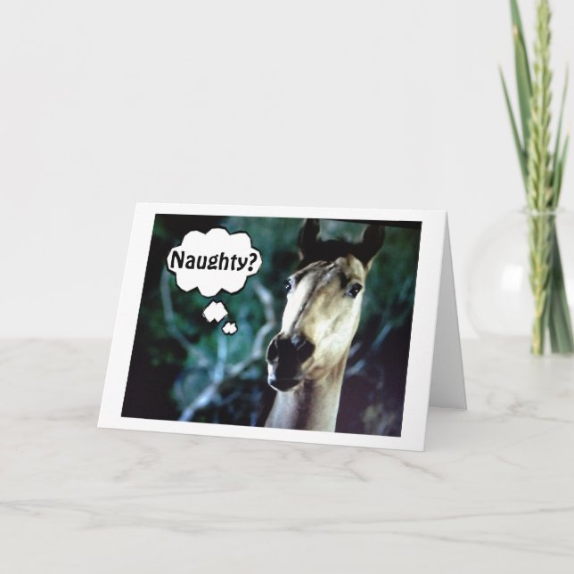 CARTES POUR FÊTES ANNUELLES CHEVAL SURPRIS=VOUS ÉTIEZ MAL AVANT NOËL (Devant)