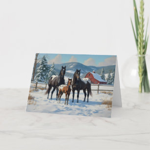 Cartes Pour Fêtes Annuelles Chevaux Appaloosa noirs sur une ferme en hiver