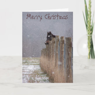 Cartes Pour Fêtes Annuelles Chevaux de Milou, Joyeux Noël