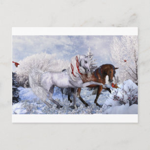 Cartes Pour Fêtes Annuelles Chevaux de Noël