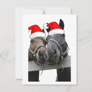 Cartes Pour Fêtes Annuelles Chevaux de Noël