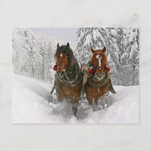 Cartes Pour Fêtes Annuelles Chevaux de Noël