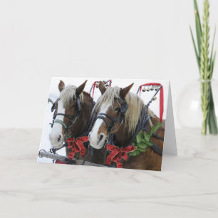 Cartes Pour Fêtes Annuelles Chevaux de Noël
