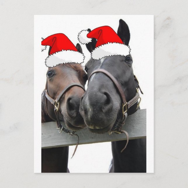 Cartes Pour Fêtes Annuelles Chevaux de Noël (Devant)