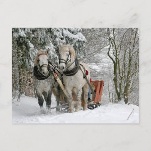 Cartes Pour Fêtes Annuelles Chevaux de trait Noël