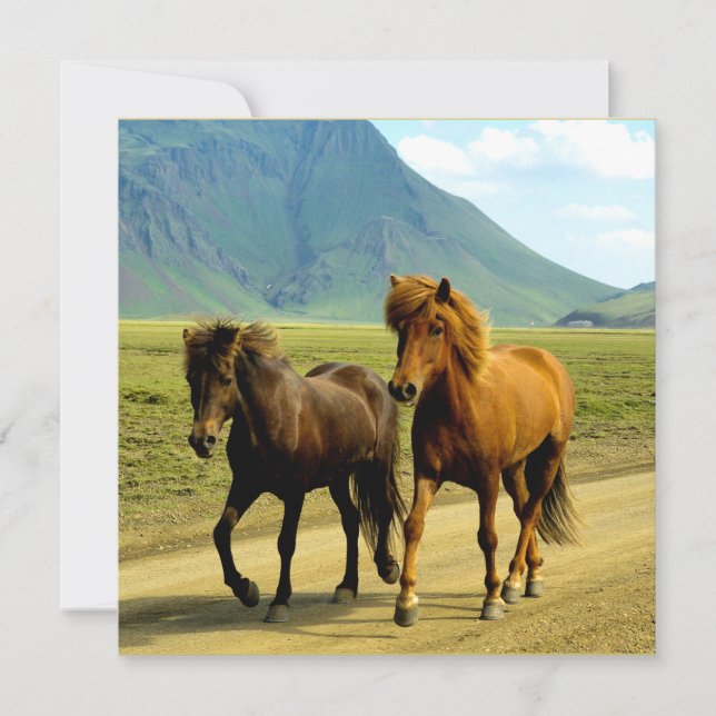 Cartes Pour Fêtes Annuelles Chevaux islandais (Devant)