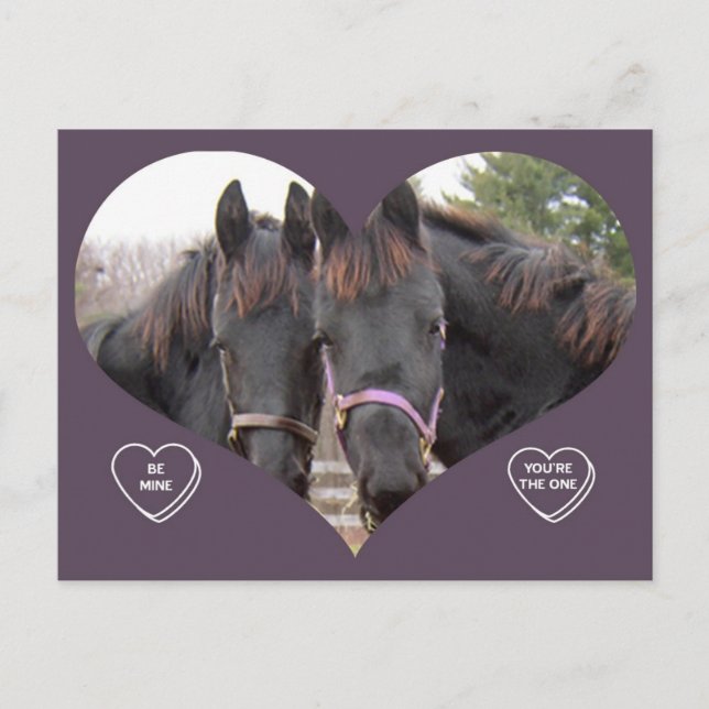 CARTES POUR FÊTES ANNUELLES CHEVAUX JUMEAUX VALENTINE (Devant)