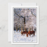 Chevaux Pur-Sang dans la Neige