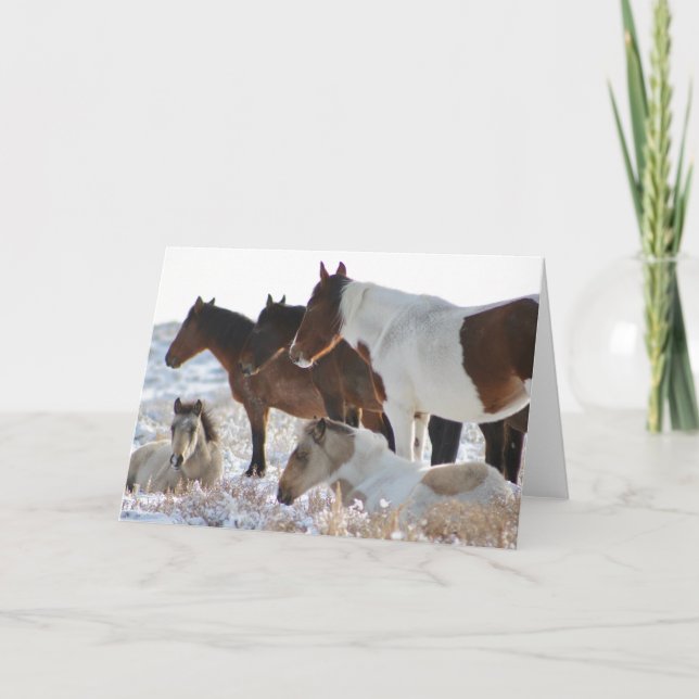 CARTES POUR FÊTES ANNUELLES CHEVAUX SAUVAGES PERSONNALISÉS DE PINTOS D'UTAH EN (Devant)