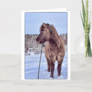 Cartes Pour Fêtes Annuelles Chevaux-vapeur islandais