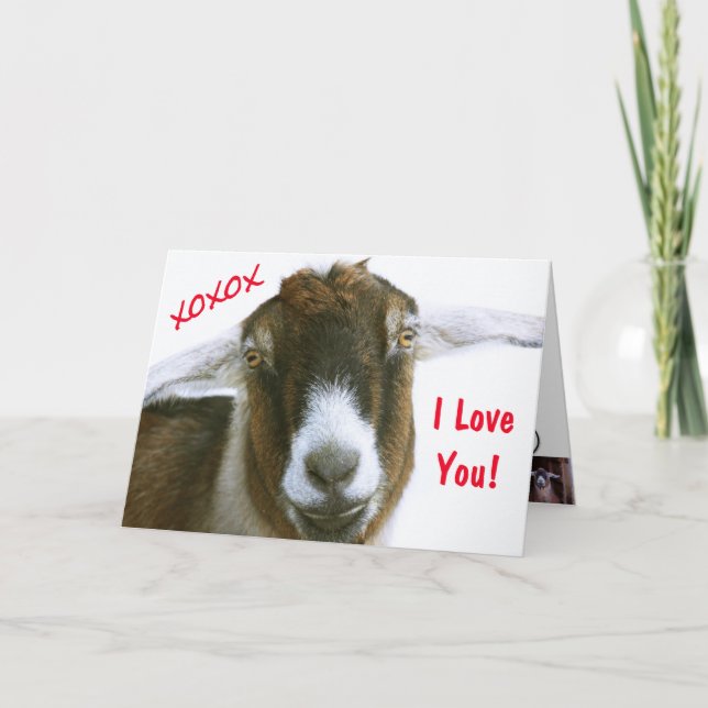Cartes Pour Fêtes Annuelles Chèvre amusante Saint-Valentin (Devant)